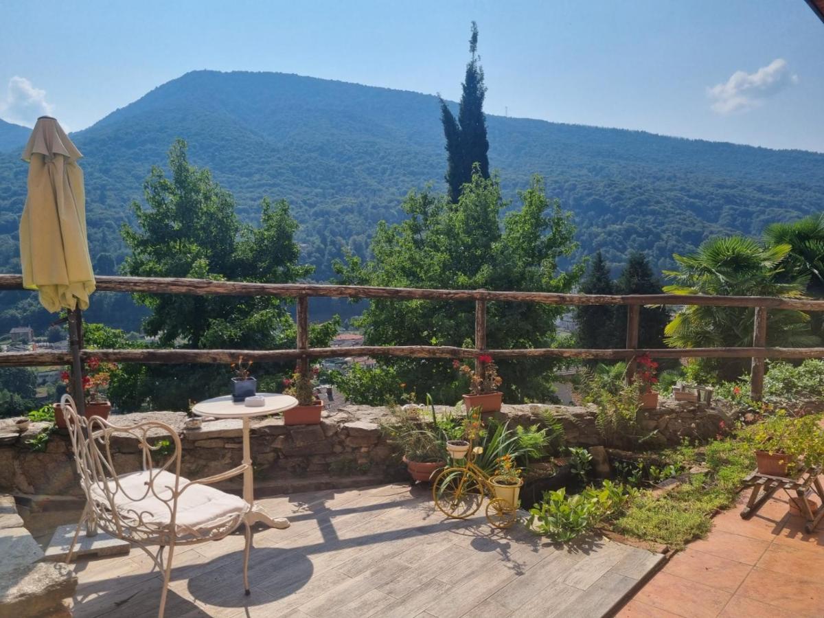 La Nave B&B Monteggio Екстер'єр фото