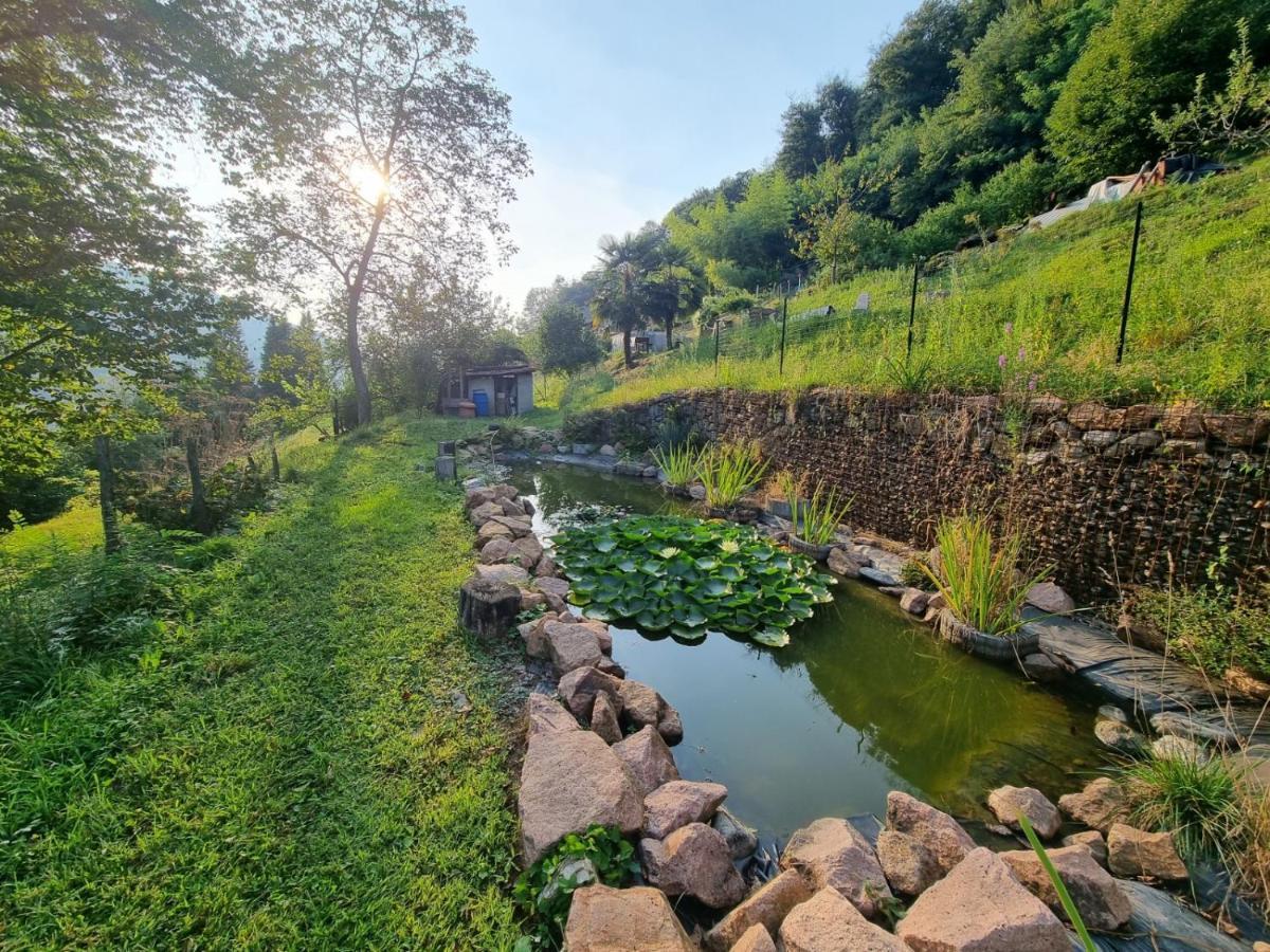 La Nave B&B Monteggio Екстер'єр фото